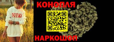 амф Новозыбков