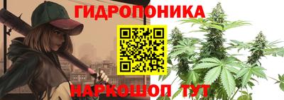 амф Новозыбков