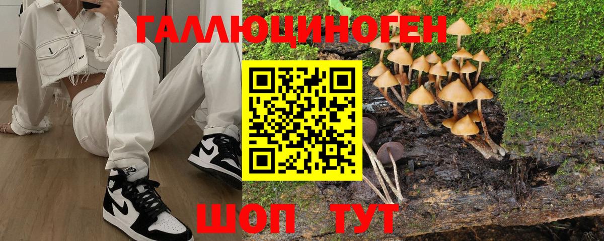 Галлюциногенные грибы Psilocybine cubensis Балашиха