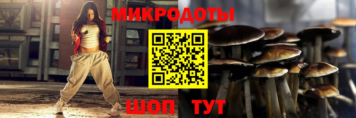 Галлюциногенные грибы MAGIC MUSHROOMS  Псилоцибиновые грибы ЛСД  Балашиха  Вход с VPN 